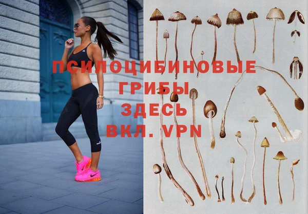 jwh Баксан