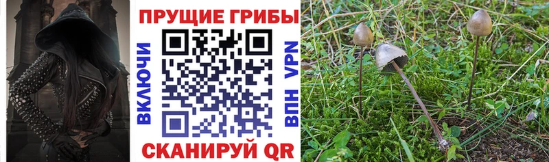 купить наркотик Тулун Галлюциногенные грибы мухоморы